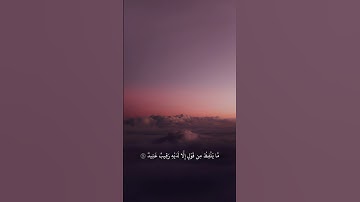 الشيخ أنس بن عيسى العمادي - سورة ق - هذا التسجيل من ليالي قيام 1434 🤍#أنس_العمادي #قرآن_كريم #ق