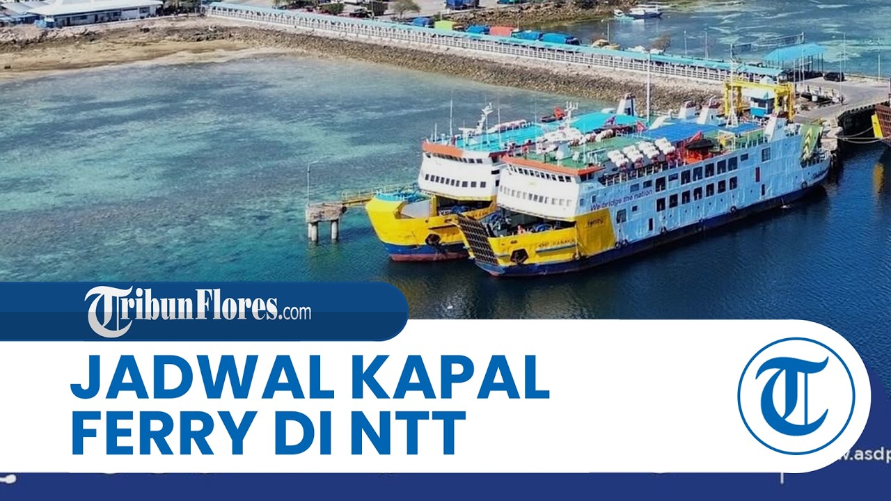 Jadwal Kapal Ferry di NTT Kamis 26 Februari 2026, Rute KMP Kalibodri Kupang - Rote PP Jam 8 Pagi