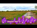 Village life punjab | Pakistan Kay Gao Ki Sair Ka Bahut He Bahtreen Vlog - Tractor Vlog