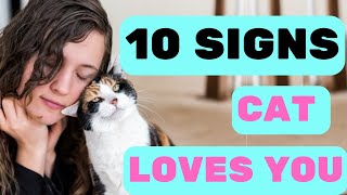 Cat Lovers Attention! | 10 Signs Cats Love You #shorts by Pet in the Net 269 views 8 months ago 7 minutes, 53 seconds
