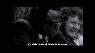 Zucchero & Miles Davis - Dune Mosse (Subtitulado español) HD