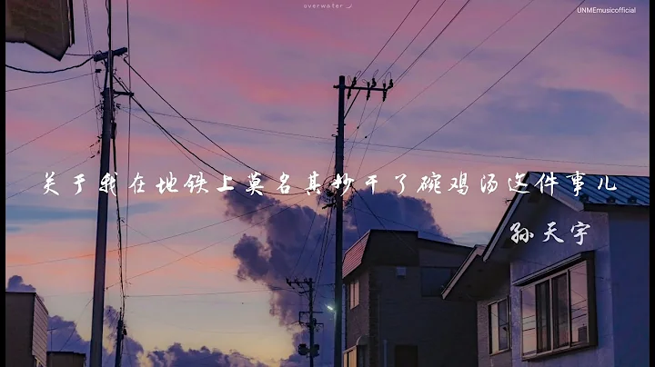 孙天宇 - 关于我在地铁上莫名其妙干了碗鸡汤这件事儿［放肆心神 放纵去爱 去沉沦，此时此刻 做最自由灵魂］动态歌词lyrics - 天天要闻