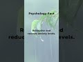 Plant-Powered Serenity: How Indoor Greenery Relaxes Your Mind #factshorts #subscribe #subscribe