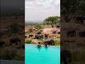 Tanzania Bucket List Experience Tanzania Bucket List Experience