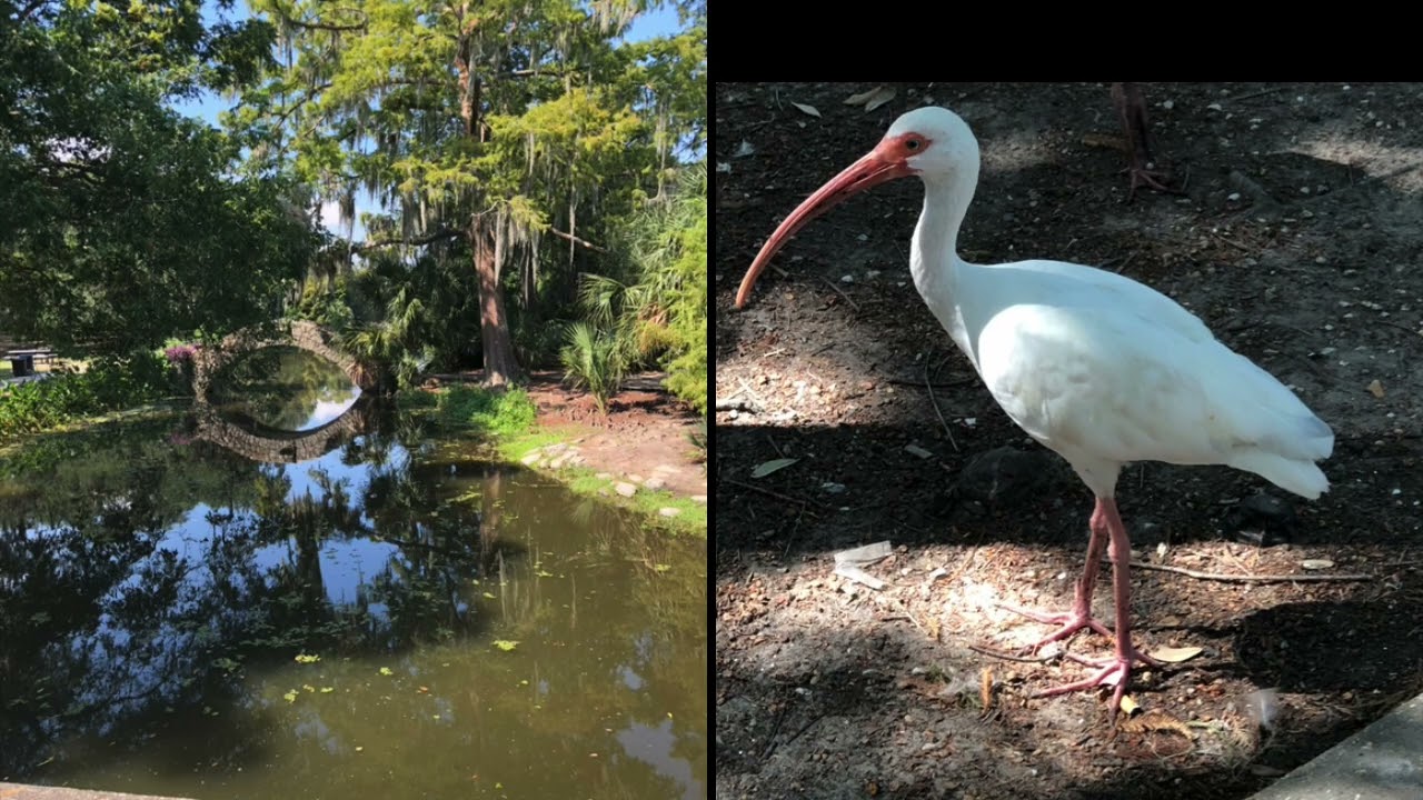 Sample Hypnosis for Stress Relief & Self Confidence  Janis Jarvis, Hypnotherapy by the Bay LLC