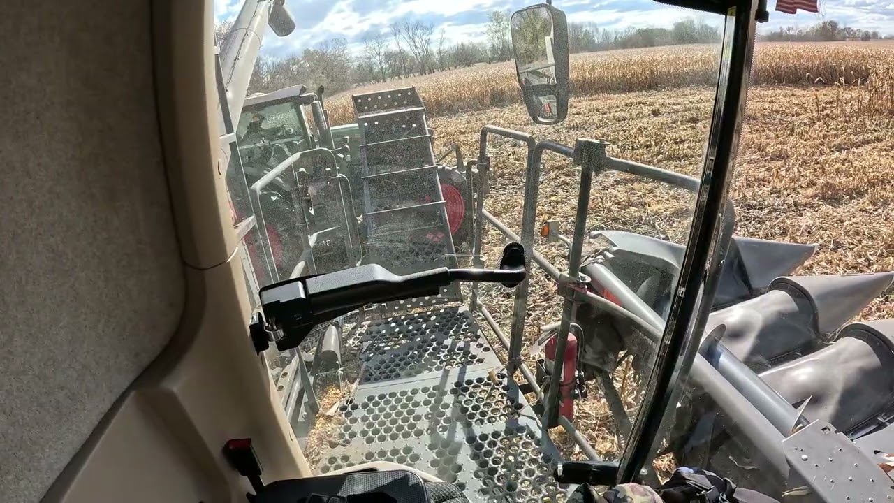 Урожай кукурузы 2025 года: взгляд с поля. Открытие поля в действии. 2 комбайна.