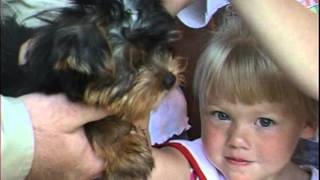 How to Adopt from Ft. Wayne Animal Care & Control