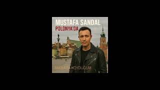 Aminada Koyduğum - Yapay Zeka