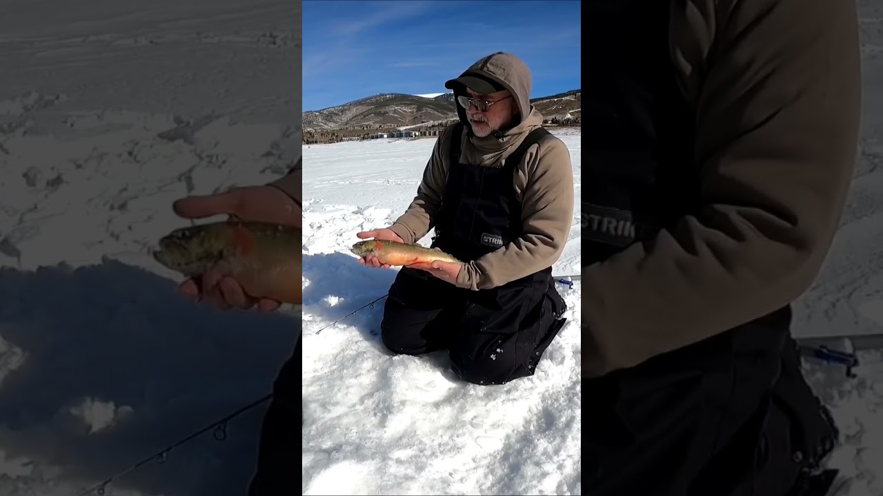 Rare Catches: The Hunt For The Artic Char: Only 2 Lakes In All Of Colorado Have Them: 