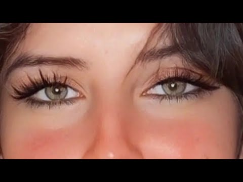 حسام حبيب فرق كتير