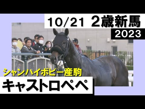 《2023年 新馬》９番人気のキャストロペペが５馬身差の快勝！　10月21日(土)京都 ダート1800ｍ　実況：石田一洋【カンテレ公式】