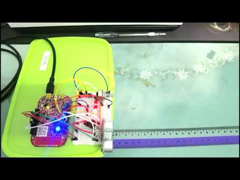 EEE20003 EMBEDDED MICROCONTROLLERS ASSIGNMENT 2 VIDEO PRESENTATION