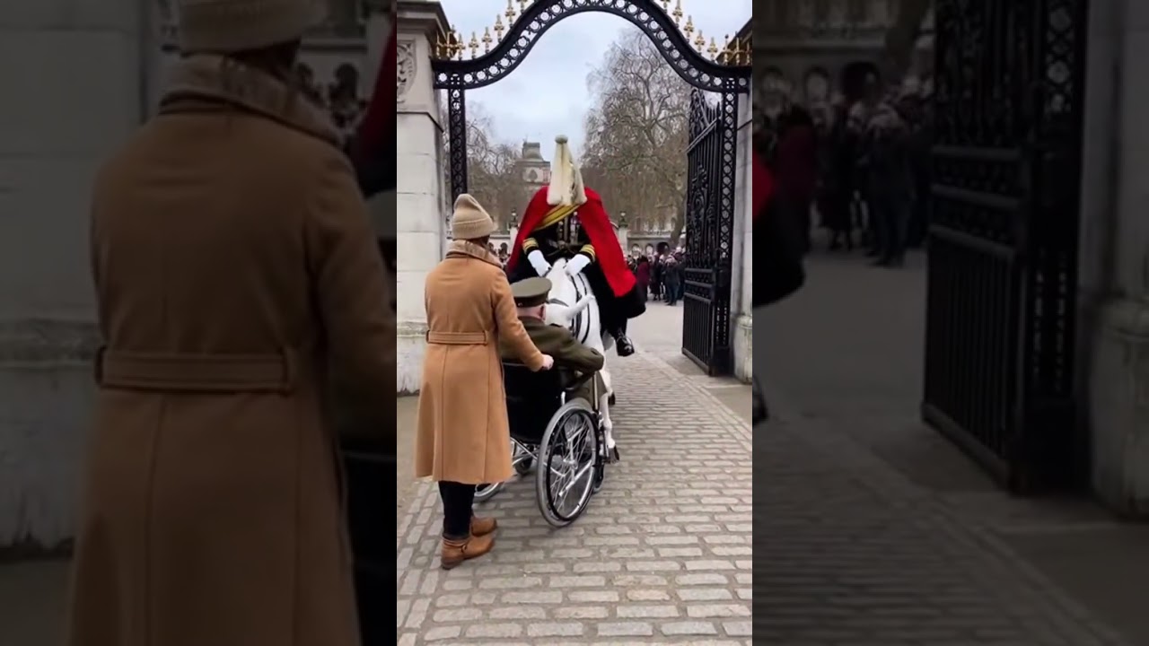 🐴✨ A Guard Horse That Makes Everything Softer 