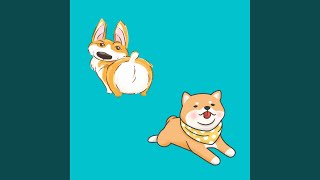 Distinguished Backdrops for Mood Boosting Dog