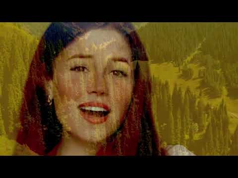 DJ KARPAT Лечу над плаєм Official Video