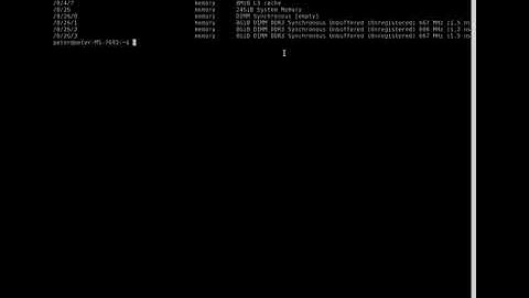 Do I have an empty Ram Slot in Linux