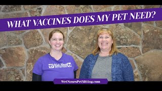 What Vaccines Does My Pet Need?
