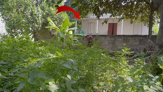 FREE CLEAN UP helps single 80-year-old woman cut grass and clean garden - AMAZING RESULTS