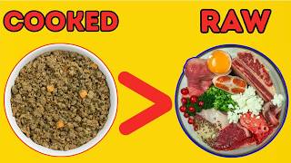 Is Cooked Dog Food Better Than Raw?