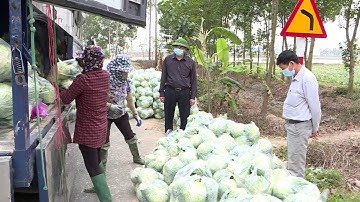 Hải Dương: Nỗ lực hỗ trợ chuỗi liên kết sản xuất bị gián đoạn do dịch covid-19