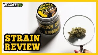 Golden State Banana Weed Strain Review
