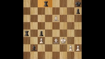 Magnus Overlooks a Tactical Shot | Chess.com Puzzle