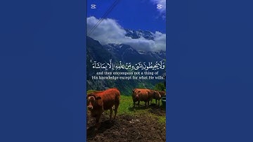 القرآن الكريم آية الكرسي #القرآن_الكريم #المصحف #اكسبلور