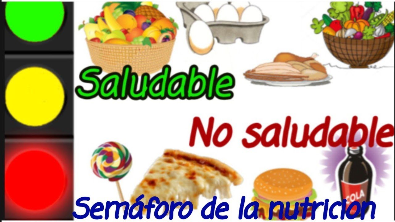 bota Dar a luz Afirmar ALIMENTOS SALUDABLES Y NO SALUDABLES|alumnos - YouTube