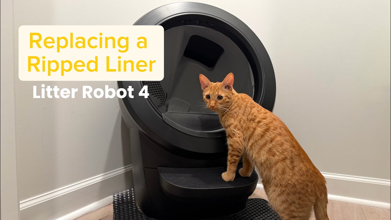 Замена порванного вкладыша в Litter Robot 4 *обновленная версия*