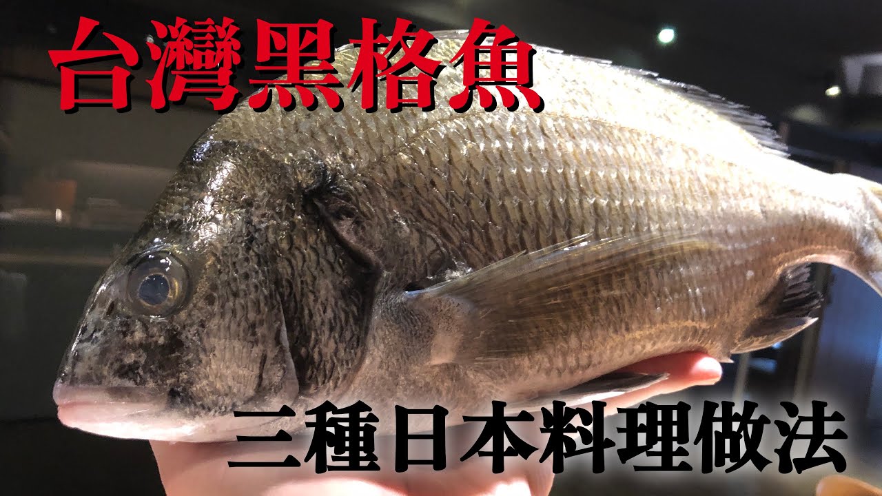 【黑格魚日本料理做法】為了引出本來的味道，日本料理的技術　含特別生魚片做法介紹三種日本料理做法