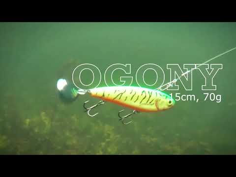 Ogony - praca przynęty
