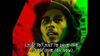 Bob Marley - Iron Lion zion (Lyrics)
