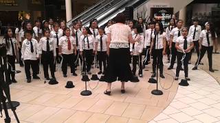 Rhythmax Choir 4/29/15 - Firework
