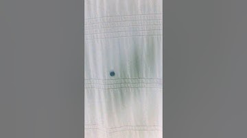 ᑭᗩᖇᗩᑎOᖇᗰᗩᒪ ⚪️ Oᖇᗷᔕ 6 (ᑎEGᗩTIᐯE)