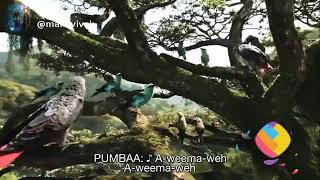 The lion sleeps tonight song tamil | The Lion King