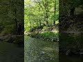 dji flip04