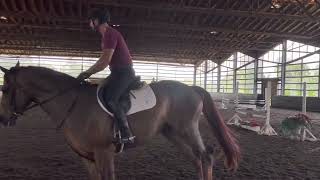 Hunter Prospect For Sale