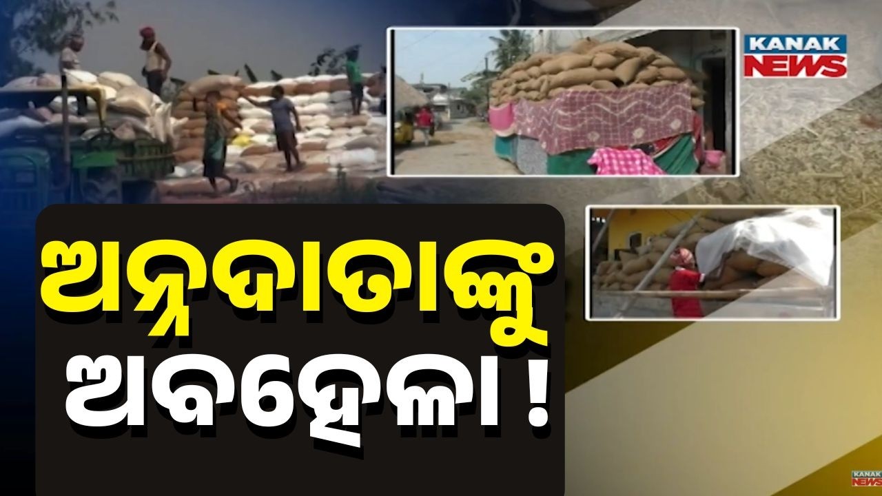 Farmers Suffer in Rajnagar Block as Paddy Procurement Tokens Delayed | Distress Sale Allegations