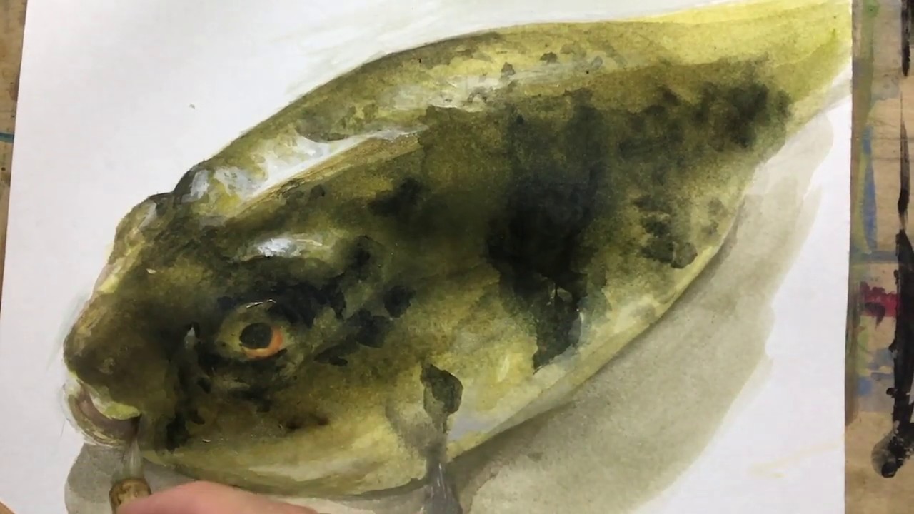 フグを描く！ - YouTube