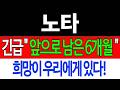 [노타 주가전망] 💥집중💥긴급 "앞으로 남은 6개월" 희망이 우리에게 있다! #노타주가전망 #노타목표가 #노타