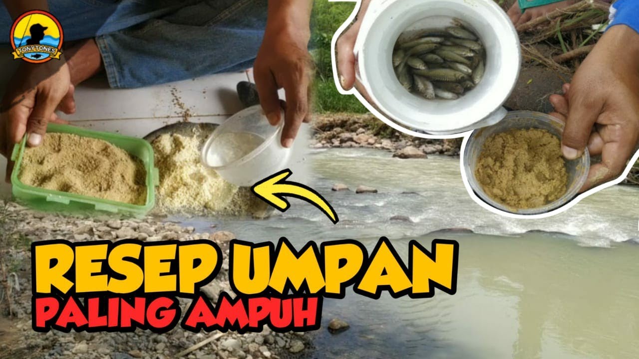 Ramuan Umpan Jitu Mancing Ikan Wader Paling Ampuh