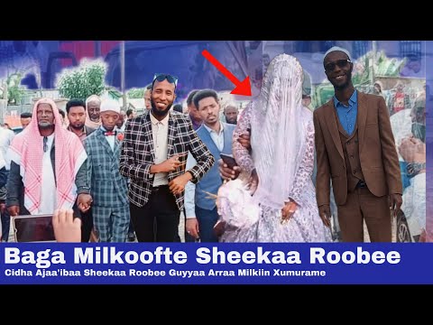 Baga Gammadde Sheekaa Roobee Cidha Ajaa Ibaa Alfa Mabruuk