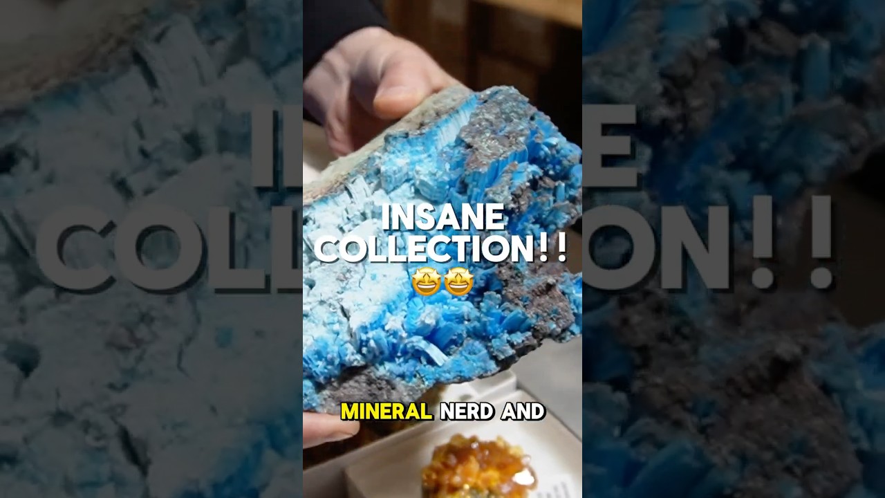 This Collection is Insane!!🤩🤩💎 