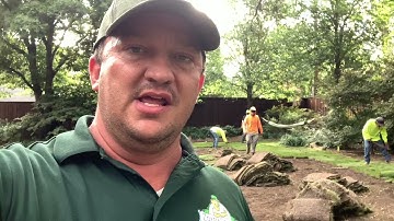 When is the best time to install sod grass in Texas?