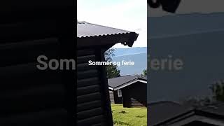 Se den fantastiske utsikten fra hytta!