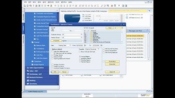 SAP Business One Financials Demo