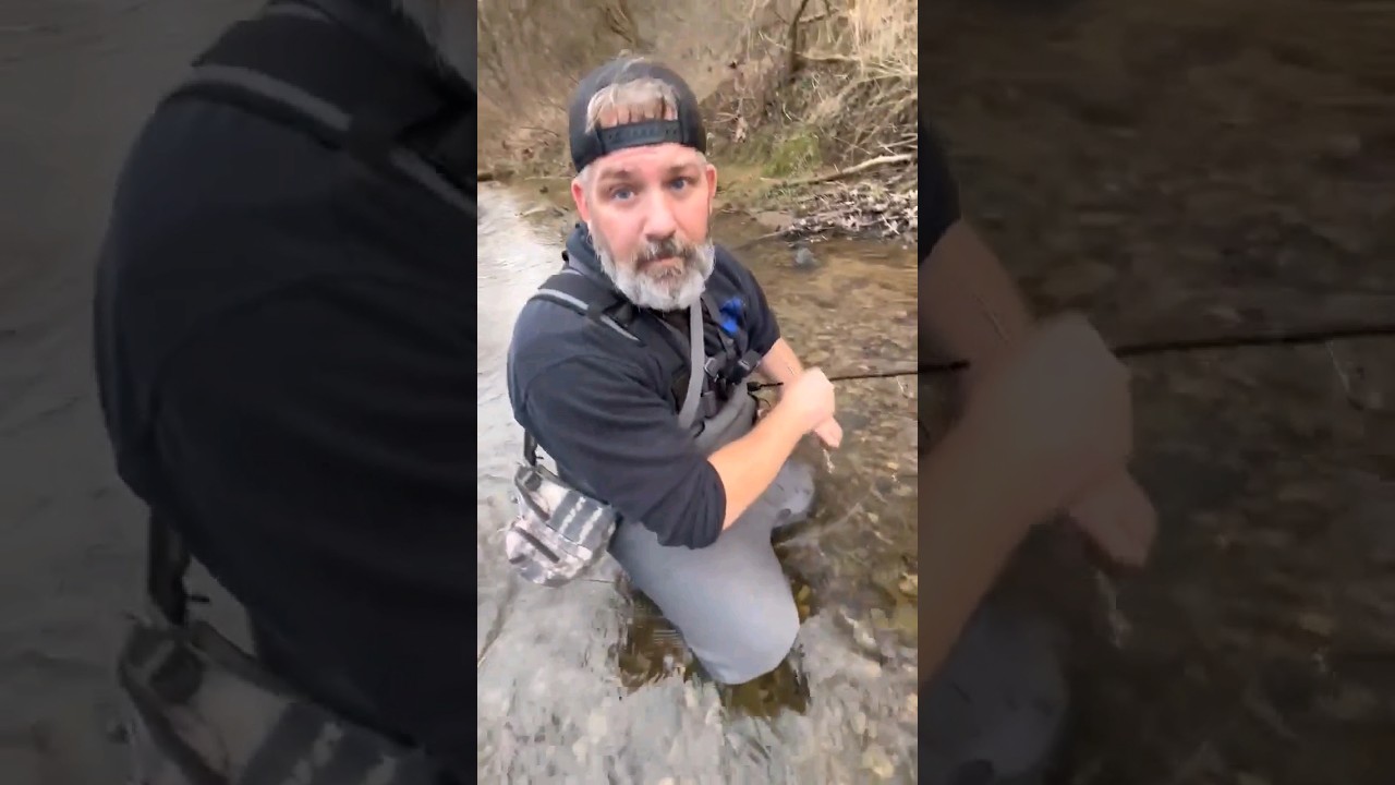 Rainbow trout Healthy Release 
