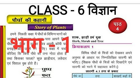 JCERT ||CLASS - 6 ||विज्ञान ||पाठ - 4 पौधों की कहानी ||भाग - 1||