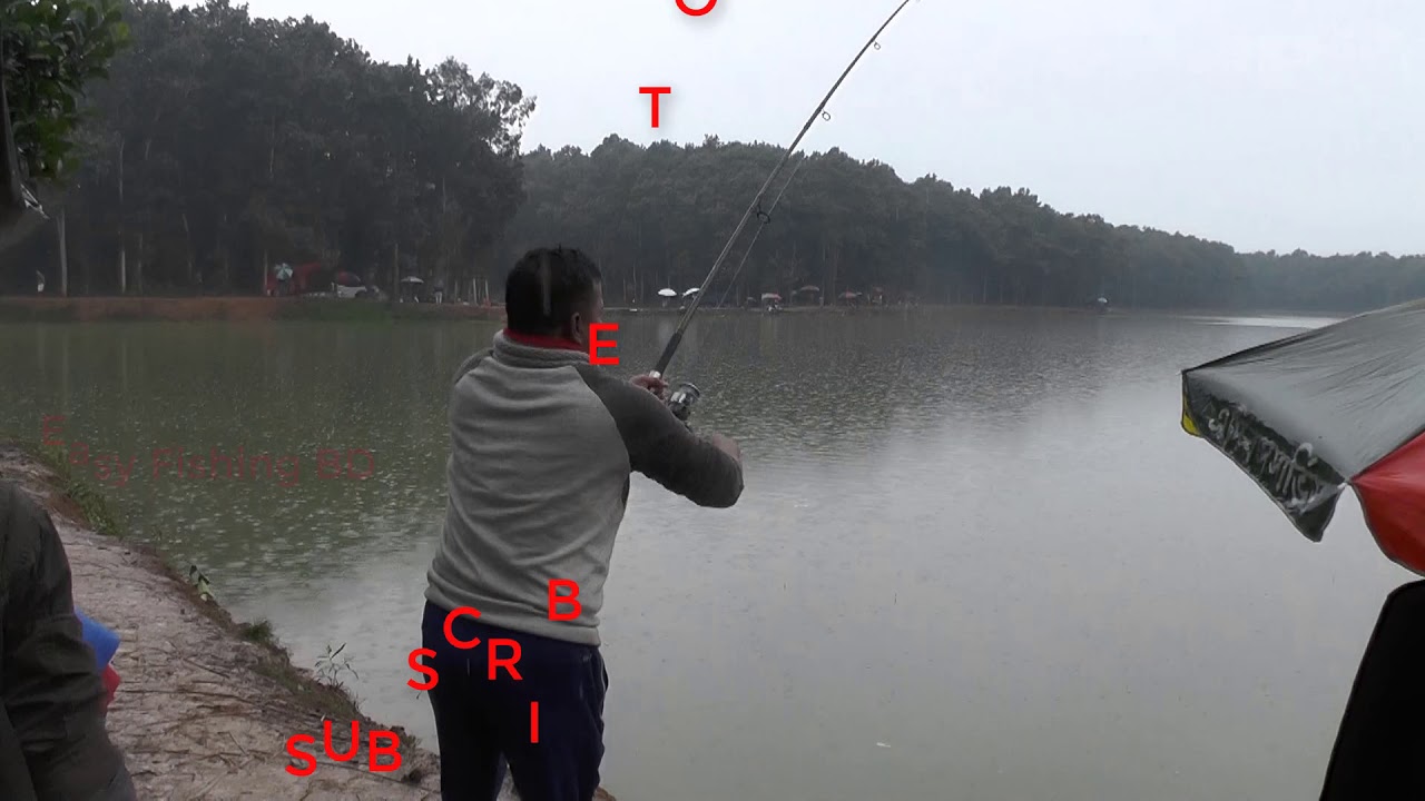 Best Rod and Hook Fishing Videos Fishing By Muktagacha YouTube