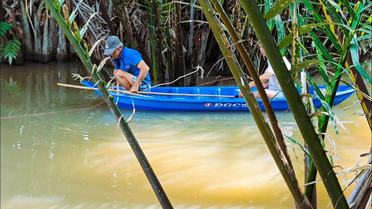 DÂN BẾN TRE ĐI ĐỔ LÚ NHƯ THẾ NÀO? VÀ KẾT QUẢ...
